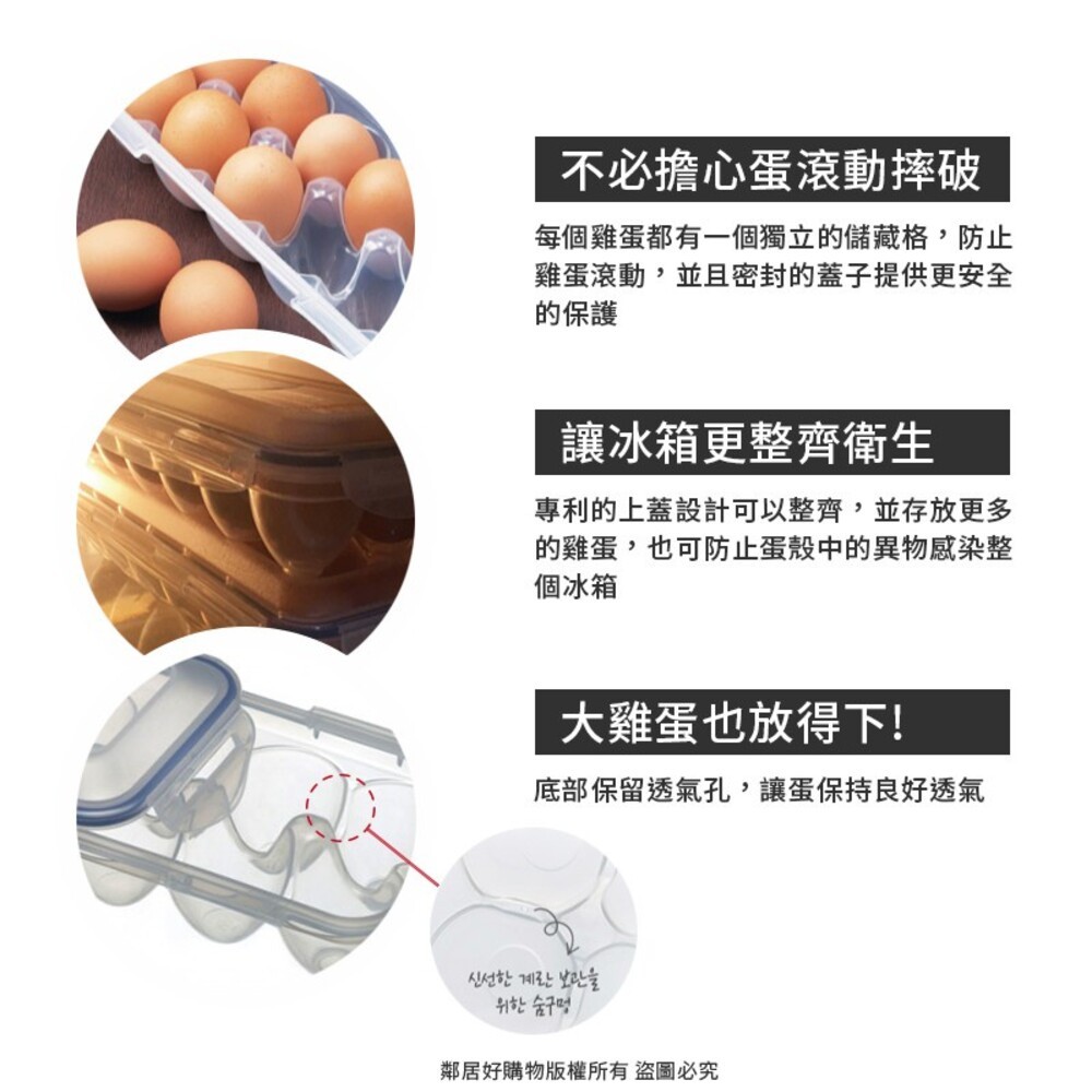 LOCK  LOCK 樂扣樂扣 CLASSICS系列12格保鮮蛋盒 HPL-954-細節圖2