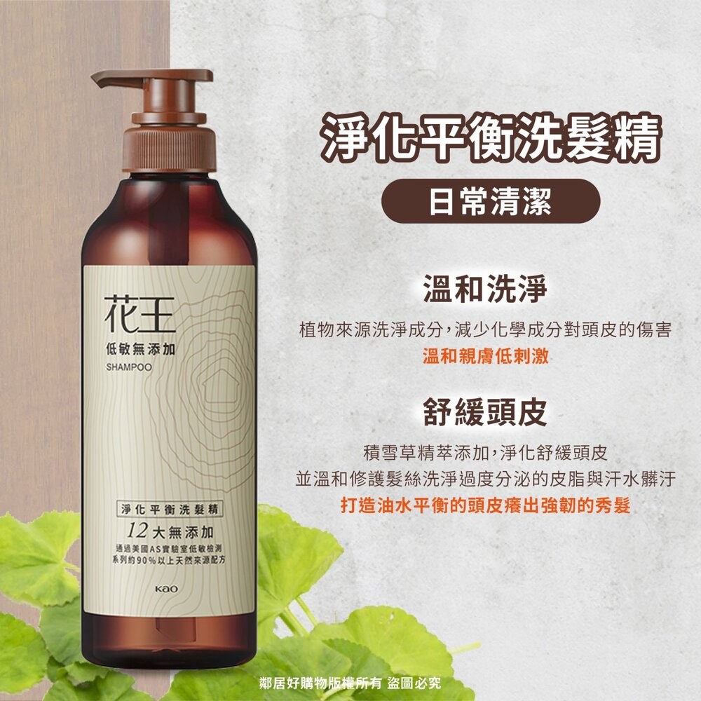 【花王】低敏無添加-(淨化平衡洗髮/淨化平衡潤髮/豐盈強韌洗髮按摩凝露)-細節圖3