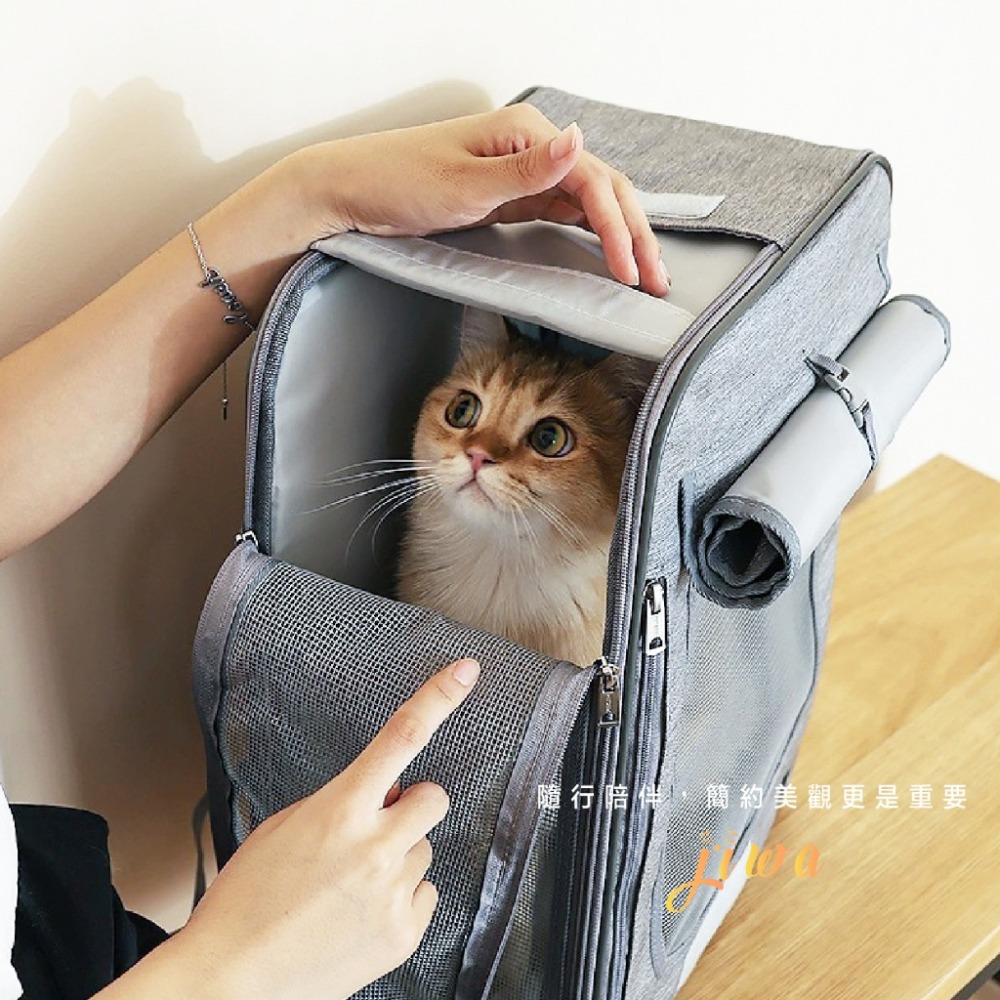 ｜48H臺灣快速出貨｜寵物外出包 極簡外出包 透氣 寵物背包 手提包 肩背 耐抓 貓咪 狗狗 P04－寵物極簡包-細節圖6
