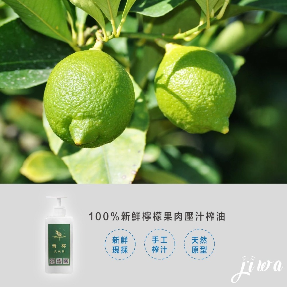 ｜48H臺灣快速出貨｜青檸洗碗精 洗碗精 天然洗碗精 台灣製造 檸檬 天然 冷壓 檸檬油 吉挖 T02－青檸洗碗精-細節圖3