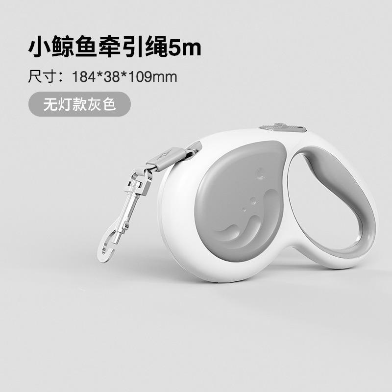 灰鯨魚｜5米