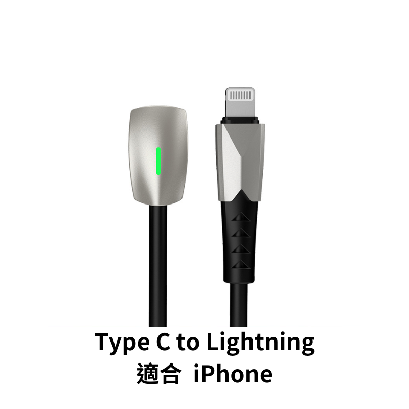 🔥 比蝦皮買還便宜 特斯拉 造型快充線 Type C蘋果 會變色 會發亮 Tesla Model Y Model 3-細節圖2