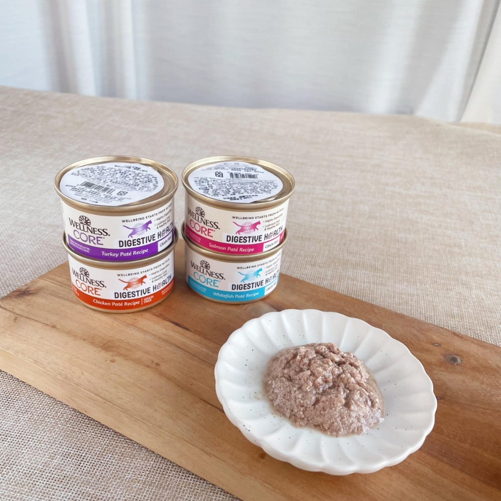 沛茲寵物【寵物健康 Wellness 腸胃機能主食罐 85g】CORE 機能 腸胃 慕斯 加拿大 主食罐 貓罐 貓罐-細節圖4