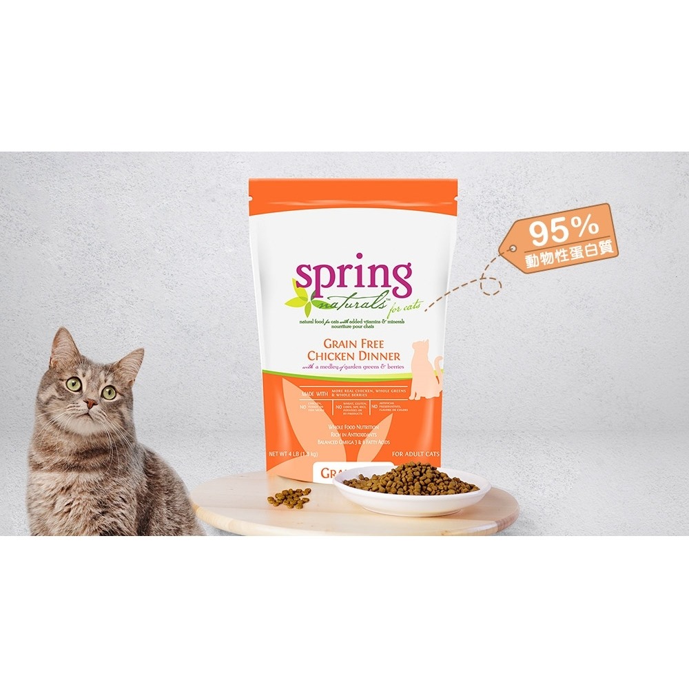 沛茲寵物【曙光 Spring 貓用經典無穀寵物餐 300g】無穀 天然糧 美國 主食 貓飼料 貓 飼料-細節圖3