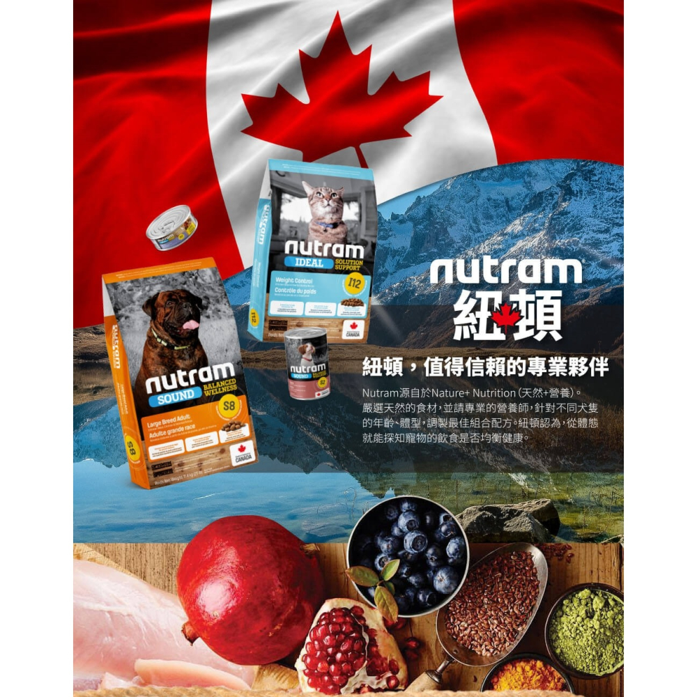 沛茲寵物【紐頓 Nutram 貓用飼料 2kg 5.4kg】T22 T24 I12 無穀 低敏 美國 貓飼料 貓 飼料-細節圖3