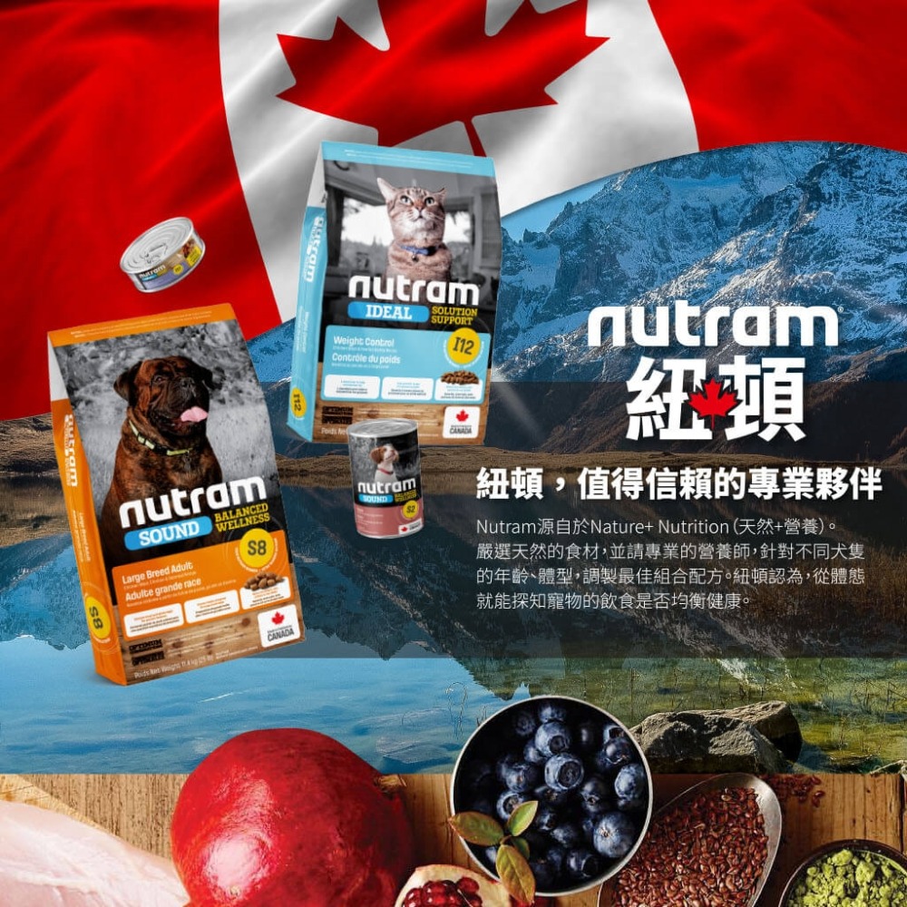 沛茲寵物【紐頓 Nutram 貓飼料】T22 T24 無穀 低敏 美國 貓飼料 貓 飼料 2kg 5.4kg-細節圖2