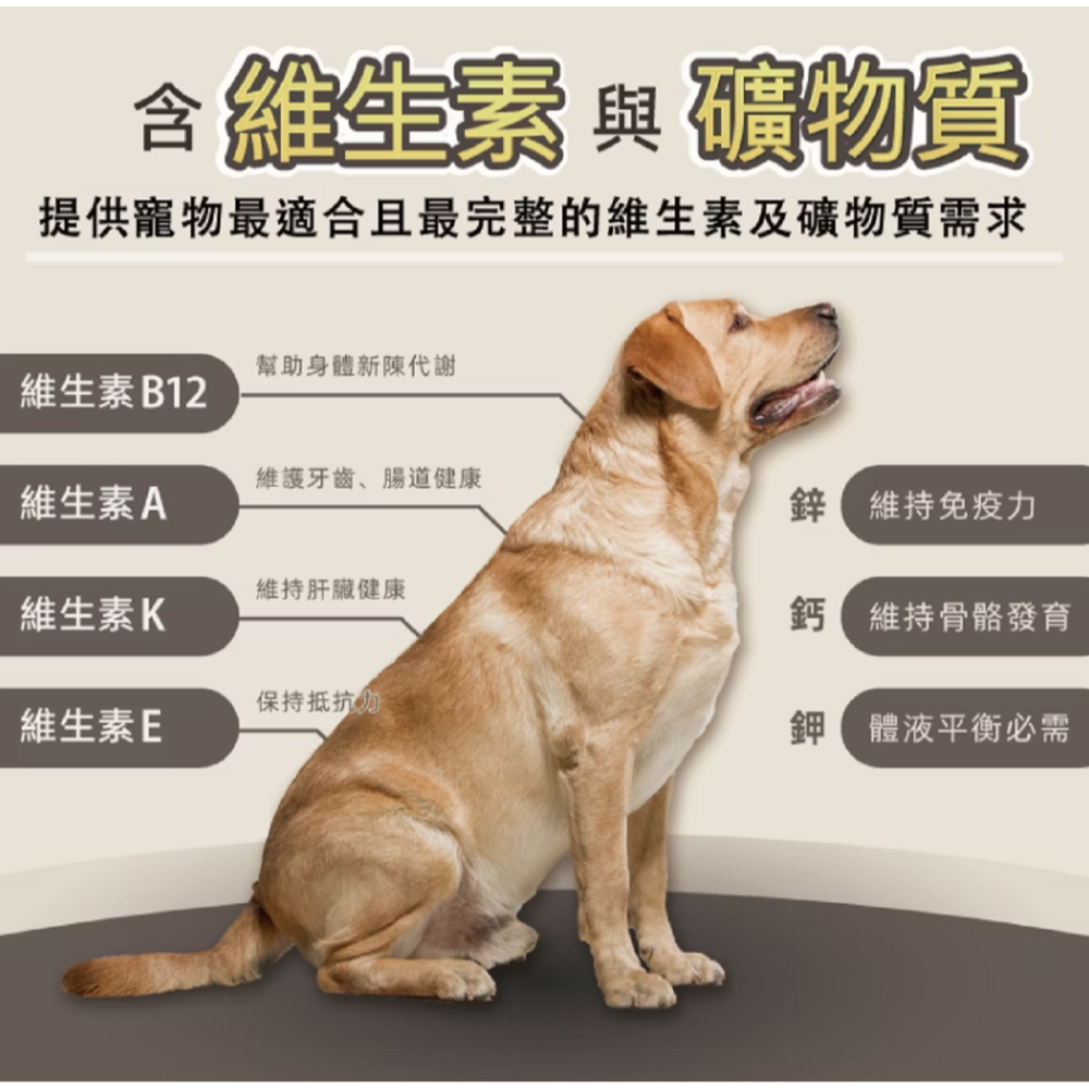 沛茲寵物【美式優選 TOP RATION 狗狗飼料】平價 主食 台灣 狗飼料 狗 飼料 2.5kg 18kg-細節圖5