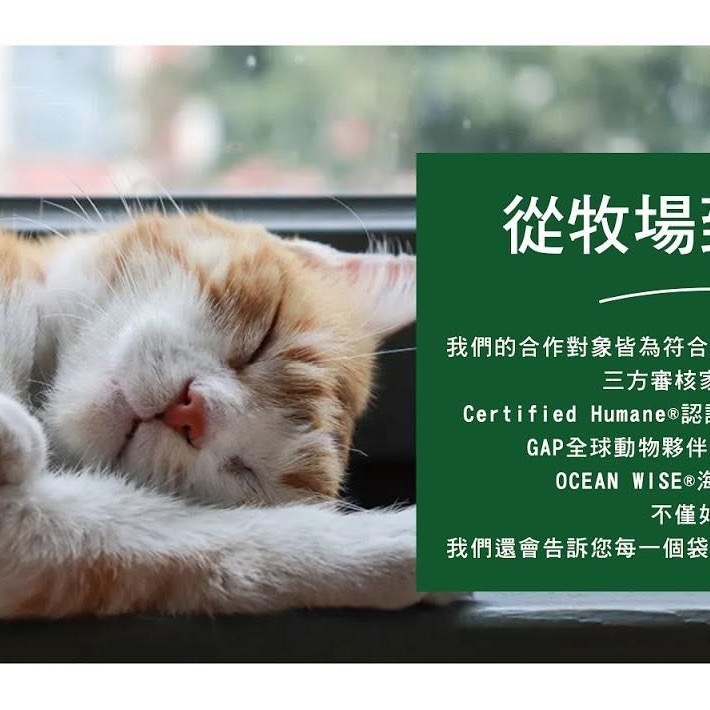 沛茲寵物【開放農場 Open Farm 無穀貓飼料】無穀 產銷履歷 低碳水 美國 貓飼料 貓 飼料 2lb 4lb-細節圖4
