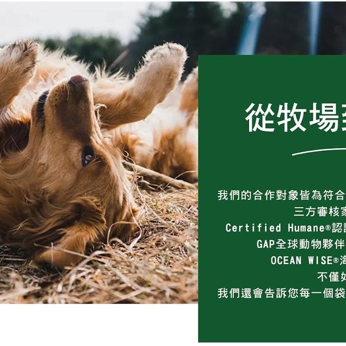 沛茲寵物【開放農場 Open Farm 犬用無穀天然寵糧】無穀 低碳水 美國 狗飼料 狗 飼料 4lb 11lb-細節圖3