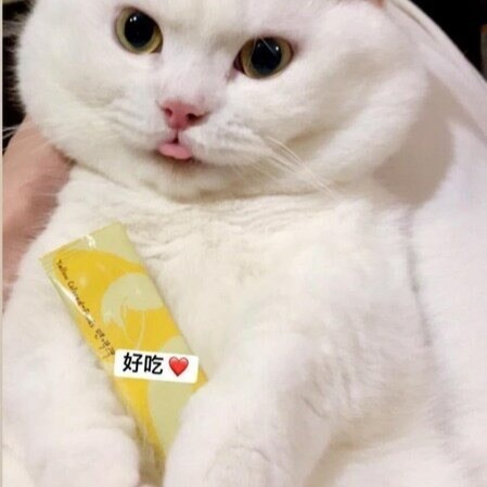 沛茲寵物【朝貢 조공 5km犬貓營養肉泥】無膠 蔬果 犬貓 肉泥 韓國 狗零食 貓零食 貓 狗 零食-細節圖5