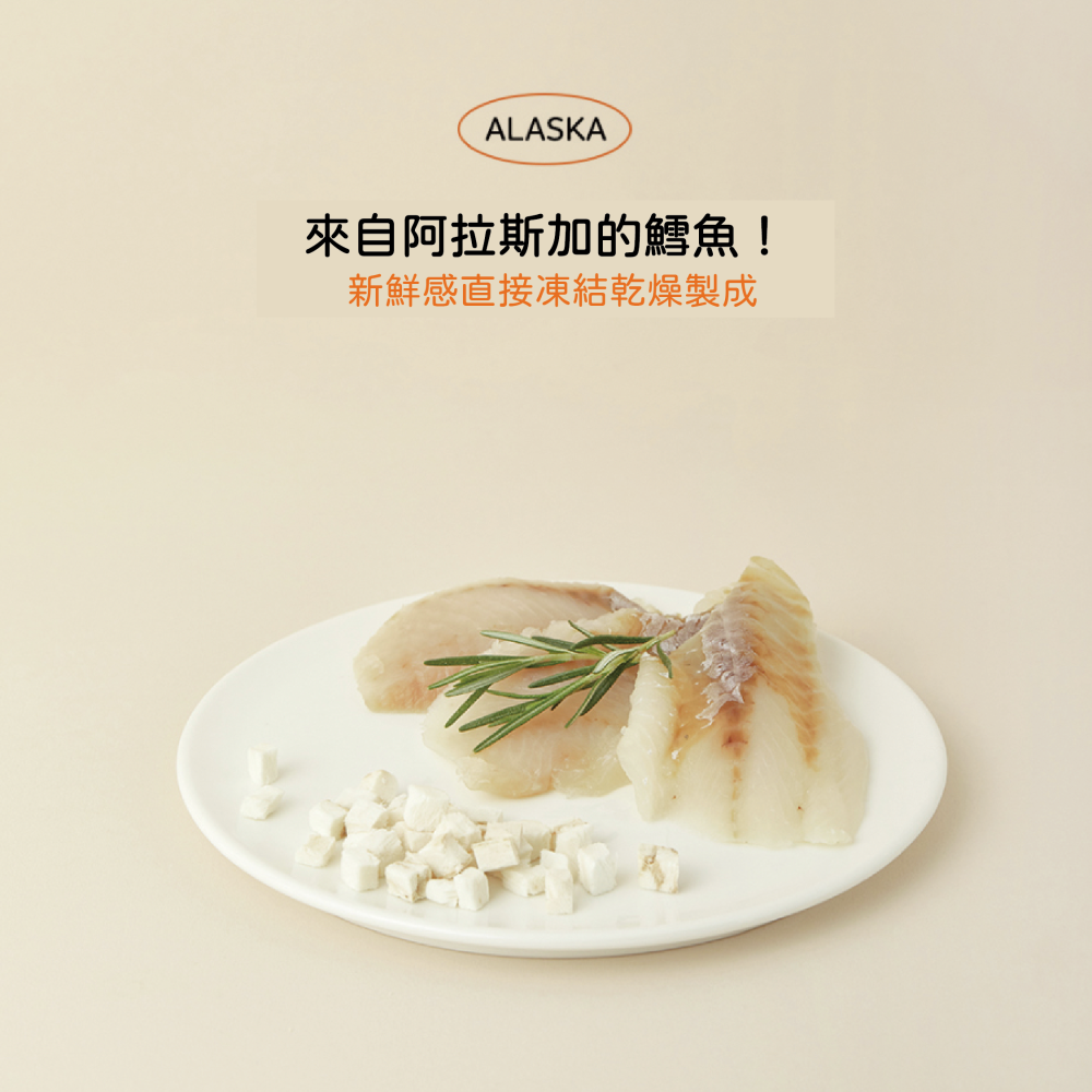 沛茲寵物【朝貢 조공 犬貓天然凍乾】凍乾 鱈魚 比目魚 鳳尾魚 韓國 貓零食 狗零食 貓 狗 零食-細節圖5