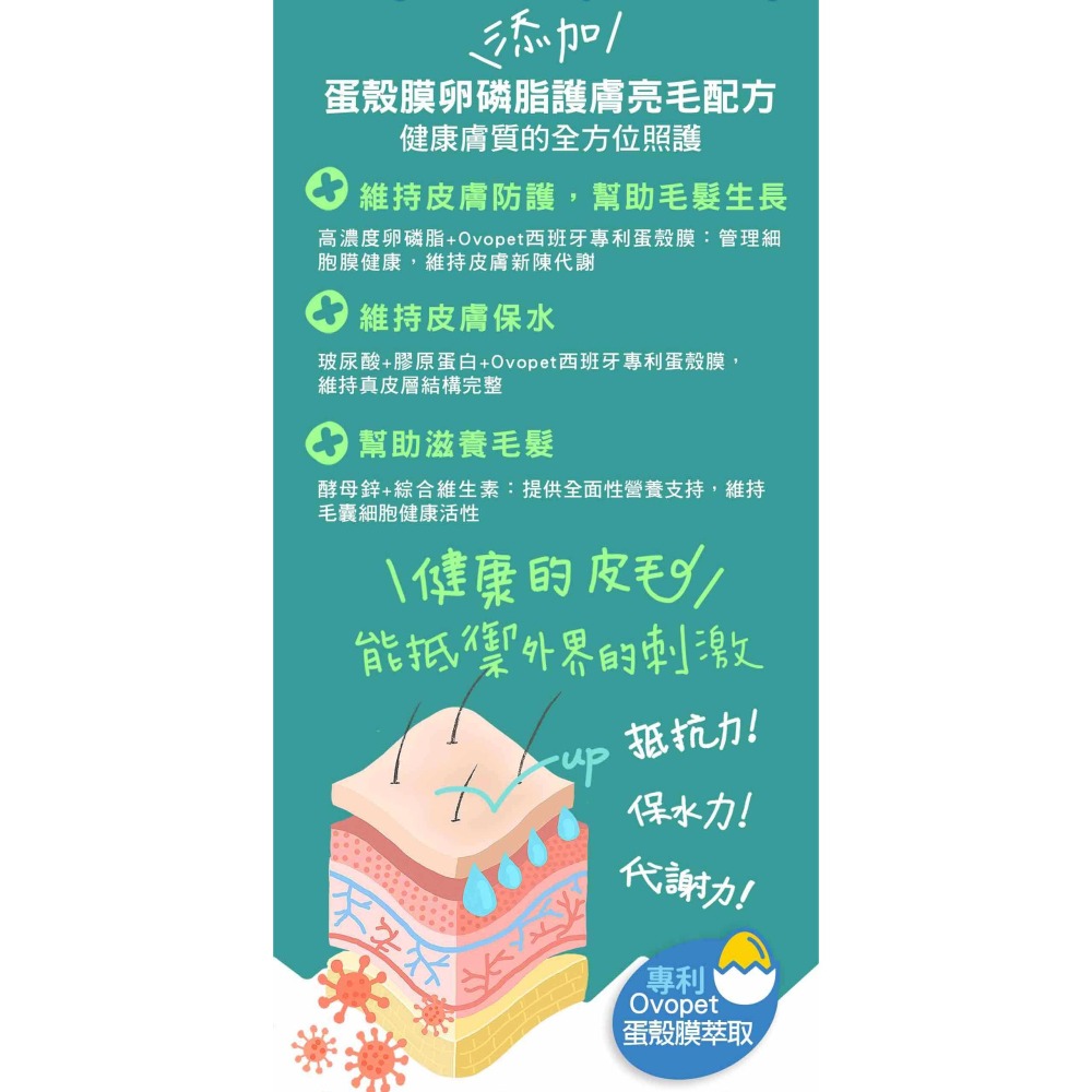 沛茲寵物【贏 IN-Plus 超濃縮卵磷脂】INPlus 卵磷脂 護膚 亮毛 魚油 美國 貓 狗 保健品-細節圖4