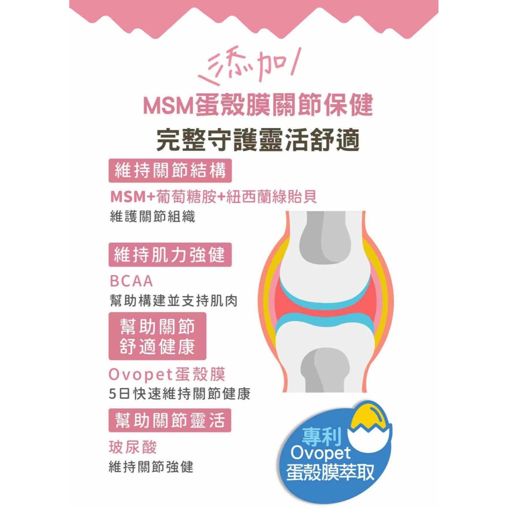 沛茲寵物【贏 IN-Plus 關節保健卵磷脂】INPlus 關節保健 卵磷脂 葡萄糖胺 軟骨素 美國 狗 保健品-細節圖4