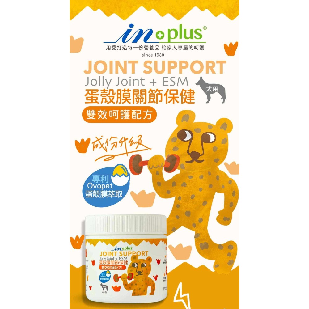 沛茲寵物【贏 IN-Plus 關節保健卵磷脂】INPlus 關節保健 卵磷脂 葡萄糖胺 軟骨素 美國 狗 保健品-細節圖5
