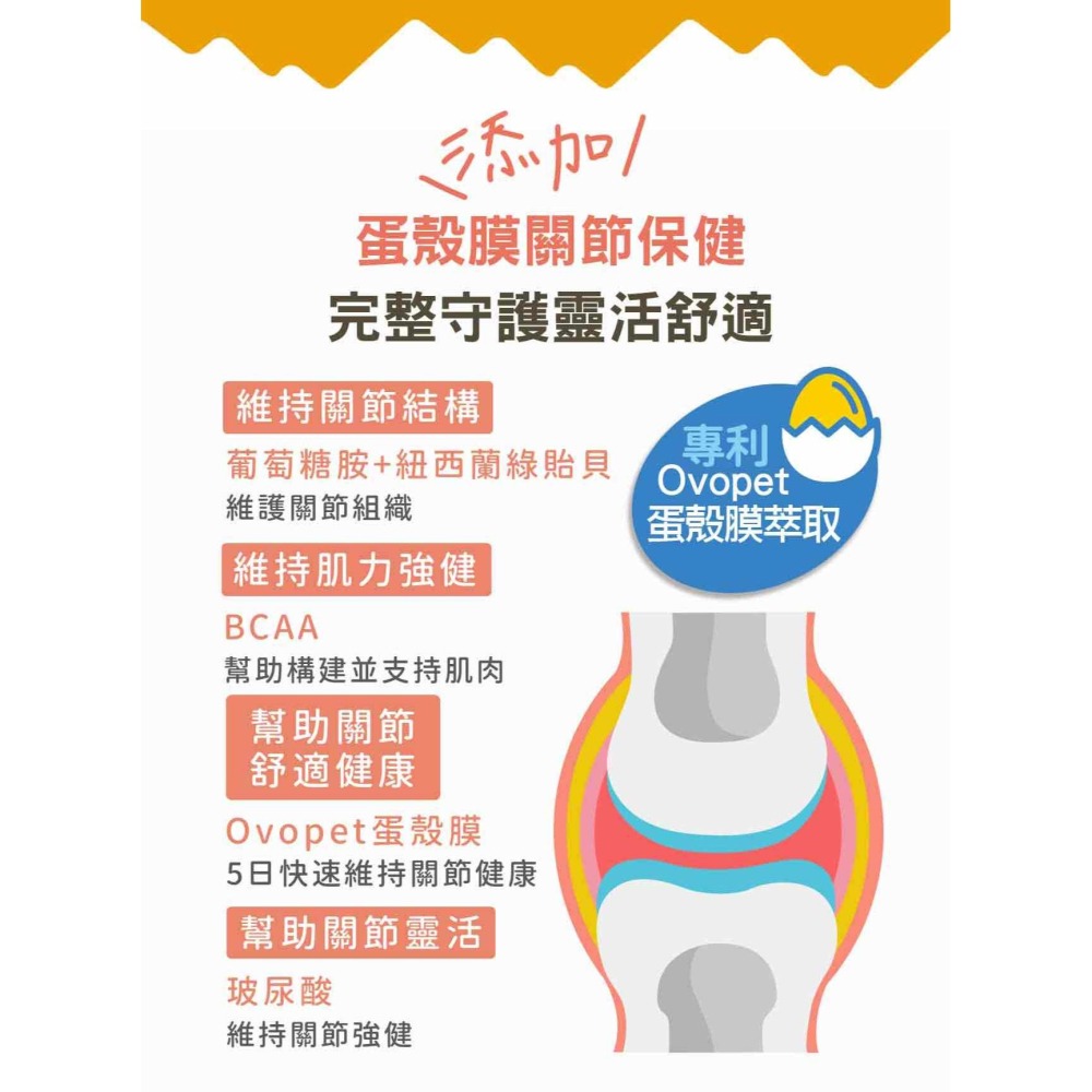 沛茲寵物【贏 IN-Plus 關節保健卵磷脂】INPlus 關節保健 卵磷脂 葡萄糖胺 軟骨素 美國 狗 保健品-細節圖6