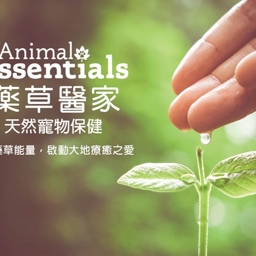 沛茲寵物【耀草醫家 AnimalEssentials 天然耀草精華飲】天然 美國 貓 狗 保健品-細節圖2
