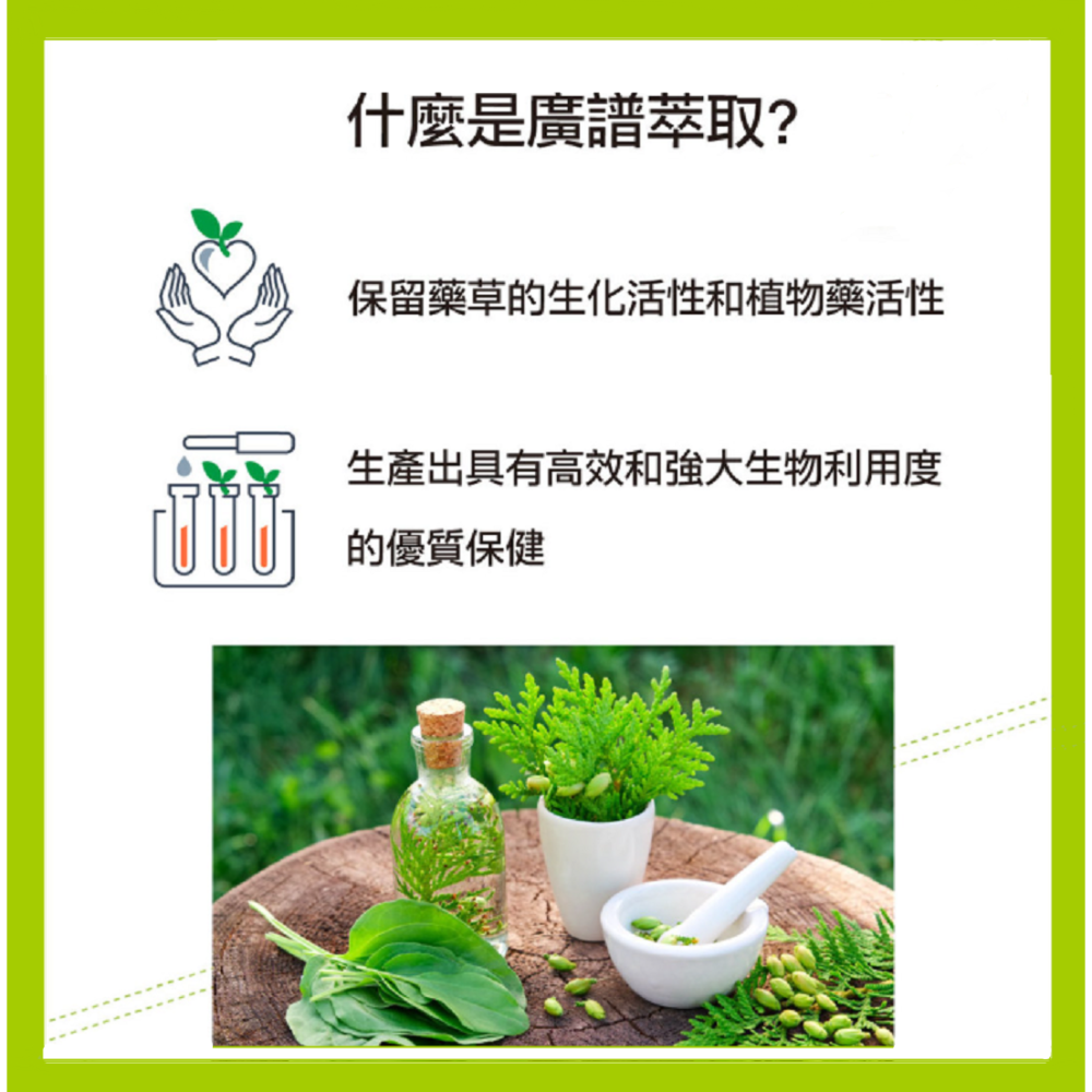 沛茲寵物【藥草獸醫 NHV 專科照護保健品】腎臟 支氣管 過敏 口炎 淚腺 貓 狗 保健品-細節圖5