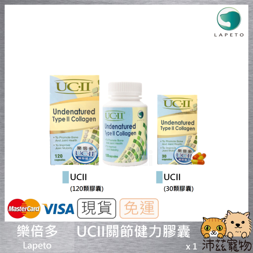 沛茲寵物【樂倍多 Lapeto UC-II 非變性二型膠原蛋白】UCII 膠原蛋白 關節 台灣 狗 保健品