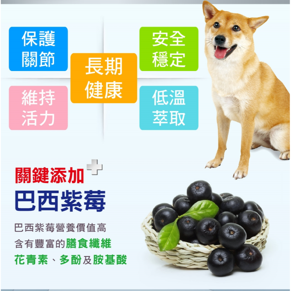 沛茲寵物【樂倍多 Lapeto UC-II 非變性二型膠原蛋白】UCII 膠原蛋白 關節 台灣 狗 保健品-細節圖4