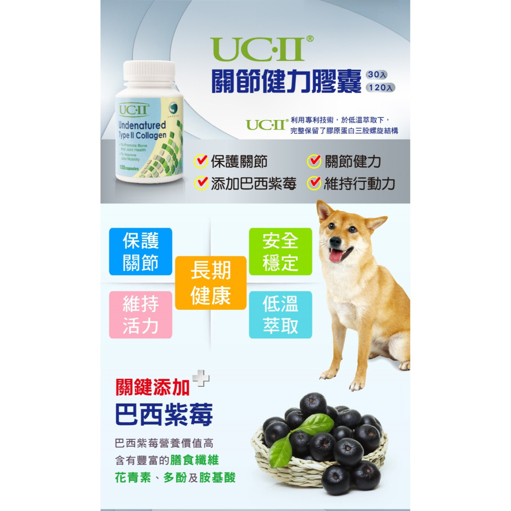 沛茲寵物【樂倍多 Lapeto UC-II 非變性二型膠原蛋白】UCII 膠原蛋白 關節 台灣 狗 保健品-細節圖2