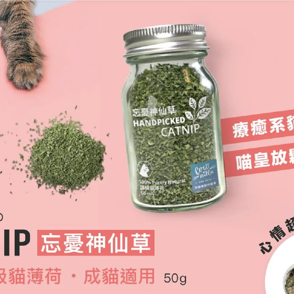 沛茲寵物【不麻煩 COCOLILLA 忘憂神仙草】台灣 有機貓草 有機 貓草 貓 50ml-細節圖2