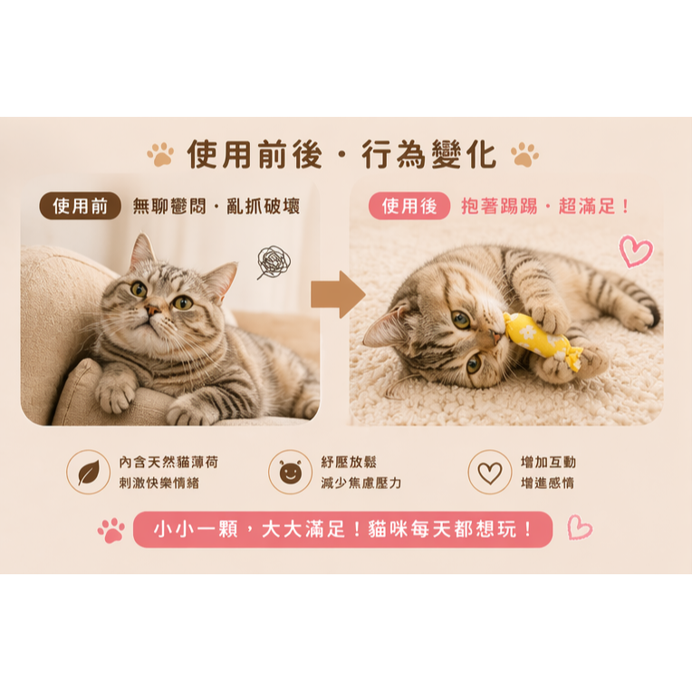沛茲寵物【PetCandy 貓草小糖果】Pet Candy 貓草玩具 美國 貓草 貓玩具 貓 玩具-細節圖4