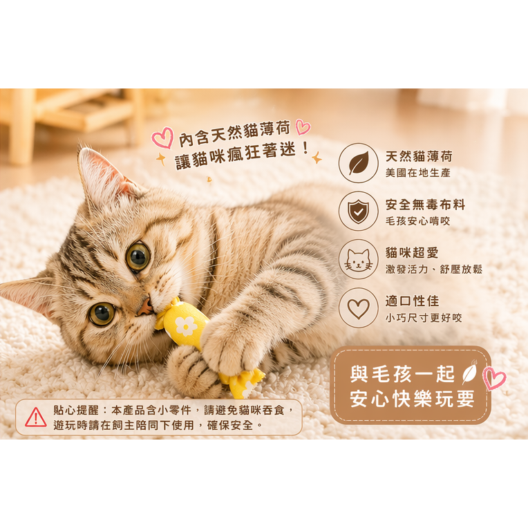 沛茲寵物【PetCandy 貓草小糖果】Pet Candy 貓草玩具 美國 貓草 貓玩具 貓 玩具-細節圖5