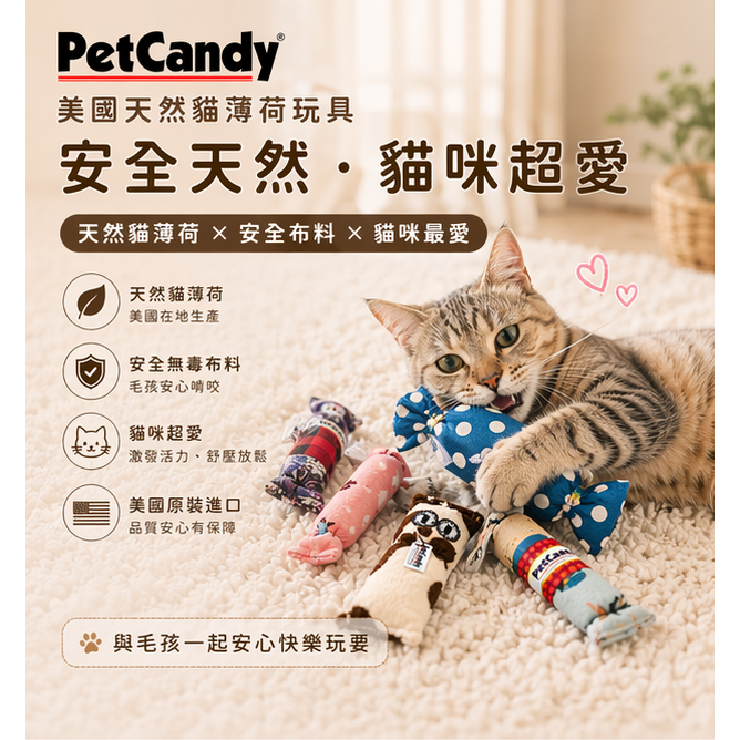 沛茲寵物【沛蒂 PetCandy 美國貓薄荷玩具】松鼠 方形 抱枕 造型 貓薄荷 抱枕 貓草 美國 貓玩具 貓 玩具-細節圖3
