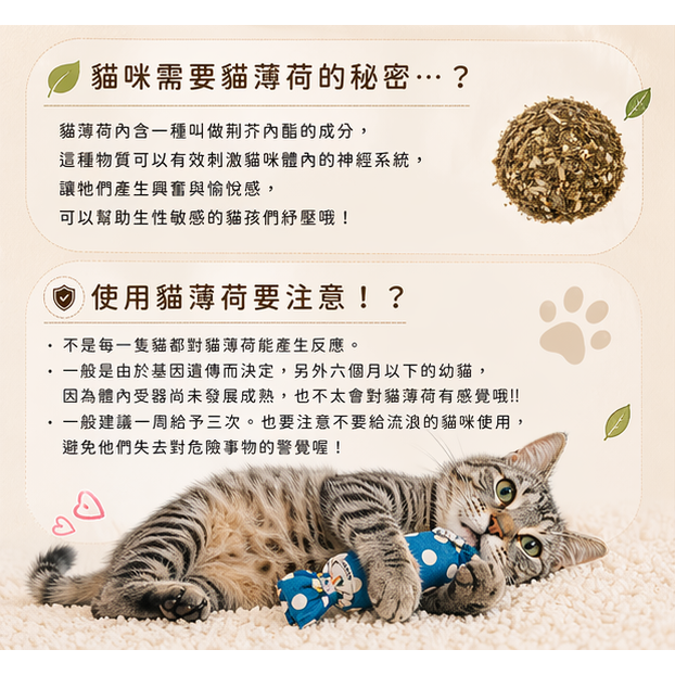沛茲寵物【沛蒂 PetCandy 美國貓薄荷玩具】松鼠 方形 抱枕 造型 貓薄荷 抱枕 貓草 美國 貓玩具 貓 玩具-細節圖5