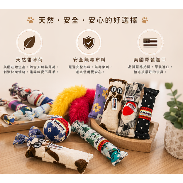 沛茲寵物【沛蒂 PetCandy 美國貓薄荷玩具】松鼠 方形 抱枕 造型 貓薄荷 抱枕 貓草 美國 貓玩具 貓 玩具-細節圖6