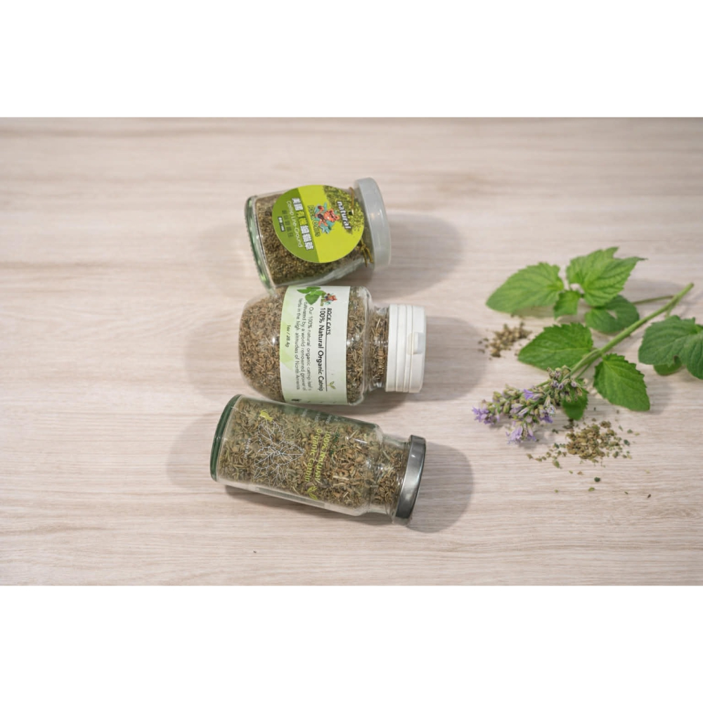 沛茲寵物【搖滾貓 Rock Cat 美國有機貓草】有機貓草 有機 貓草 貓薄荷 貓玩具 貓 玩具 1oz 10g-細節圖4