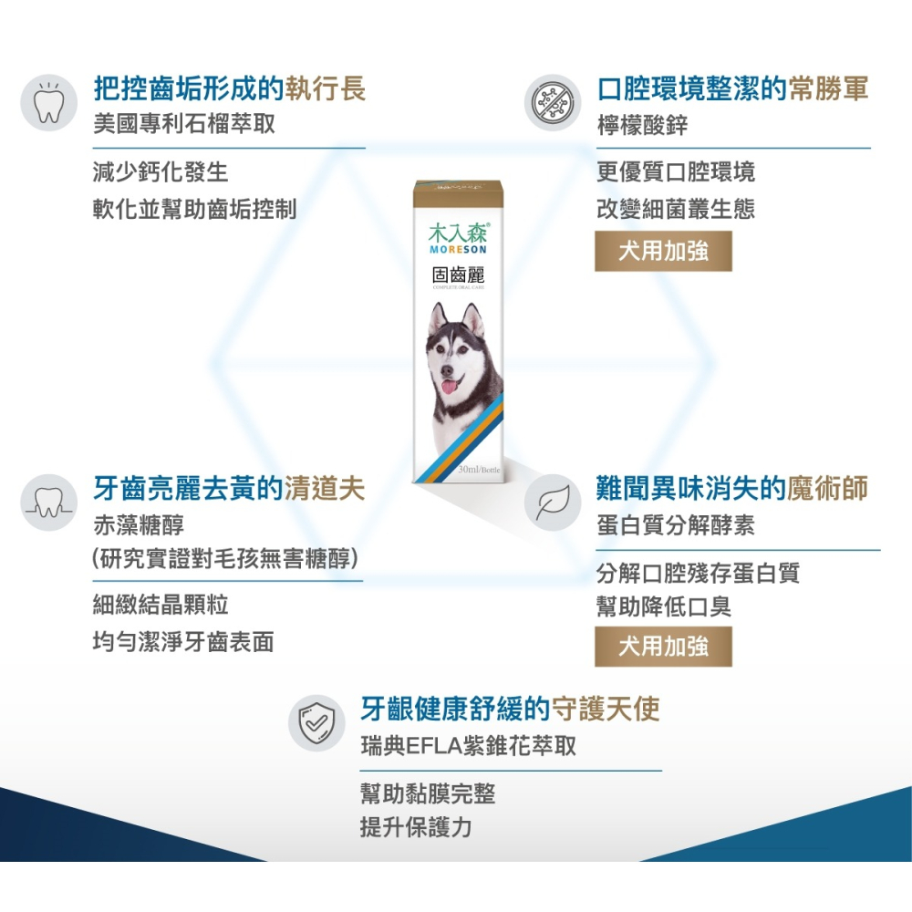 沛茲寵物【木入森 MORESON 犬貓固齒麗】潔牙 牙齒清潔 台灣 貓 狗 潔牙 30ml-細節圖3