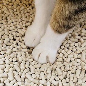 沛茲寵物【嬌聯 Unicharm 沸石砂】沸石 條砂 消臭 抗菌 貓砂 貓 2L 1.6kg-細節圖2