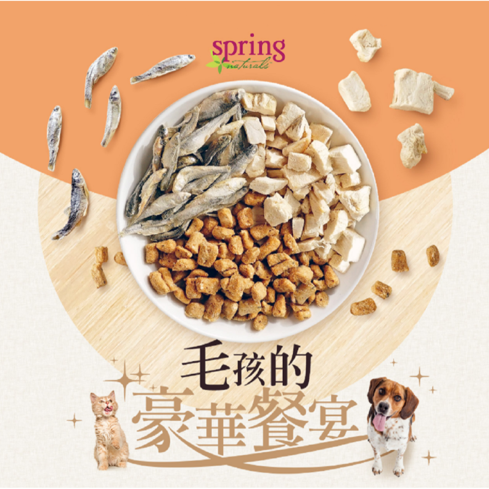沛茲寵物【曙光 Spring 貓用冷凍乾燥零食】天然 凍乾 雞肉 牛肉 鮭魚 美國 貓零食 貓 零食-細節圖5