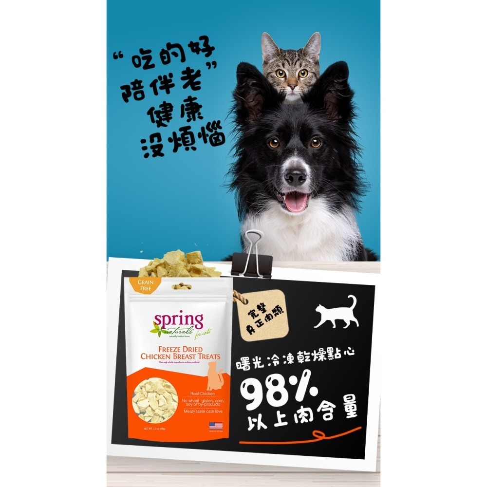 沛茲寵物【曙光 Spring 貓用冷凍乾燥零食】天然 凍乾 雞肉 牛肉 鮭魚 美國 貓零食 貓 零食-細節圖3