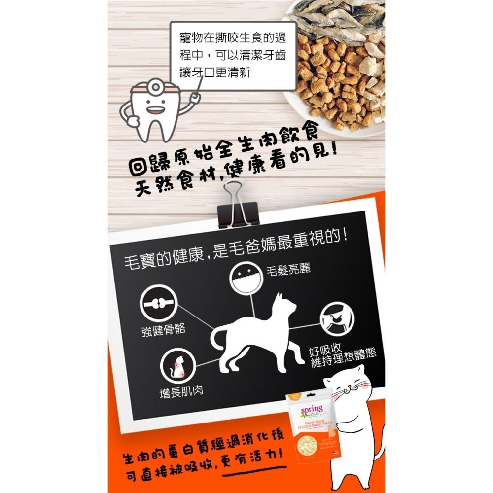 沛茲寵物【曙光 Spring 貓用冷凍乾燥零食】天然 凍乾 雞肉 牛肉 鮭魚 美國 貓零食 貓 零食-細節圖4