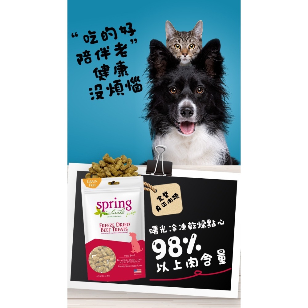 沛茲寵物【曙光 Spring 犬用冷凍乾燥零食】天然 凍乾 雞肉 牛肉 鮭魚 美國 狗零食 狗 零食-細節圖3