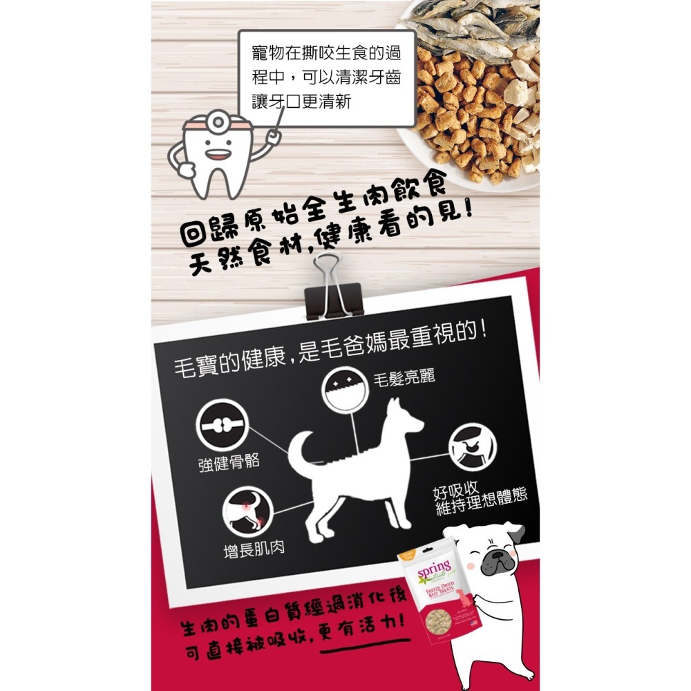 沛茲寵物【曙光 Spring 犬用冷凍乾燥零食】天然 凍乾 雞肉 牛肉 鮭魚 美國 狗零食 狗 零食-細節圖4