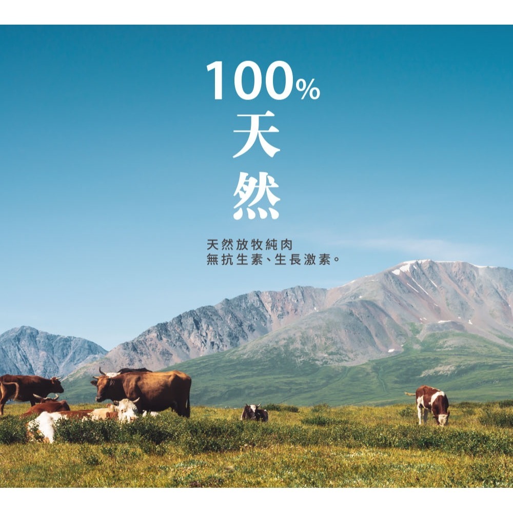 沛茲寵物【真致 Zeal 犬用牛肉風乾零食】Beef  Veal 天然 牛腱 牛肉片 牛肉塊 紐西蘭 狗零食 狗 零食-細節圖4
