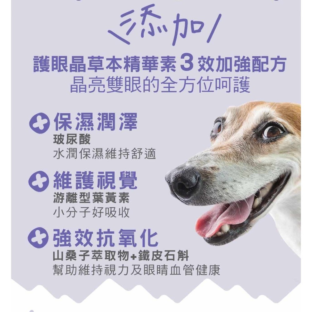 沛茲寵物【贏 IN-Plus 護眼晶草本晶華素】INPlus 護眼 眼睛保健 美國 狗 保健品-細節圖3