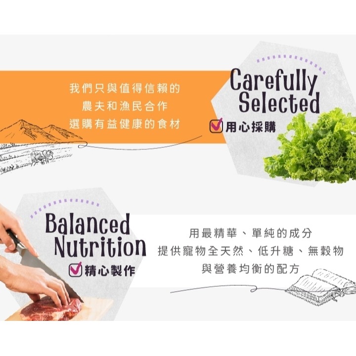 沛茲寵物【曙光 Spring 犬用滋養無穀餐 300g】無穀 滋養 天然糧 美國 主食 狗飼料 狗 飼料-細節圖4