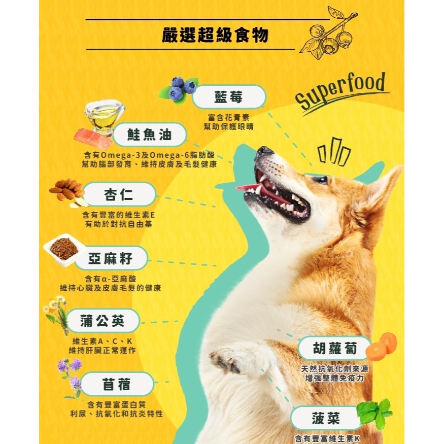 沛茲寵物【曙光 Spring 犬用滋養無穀餐 300g】無穀 滋養 天然糧 美國 主食 狗飼料 狗 飼料-細節圖5