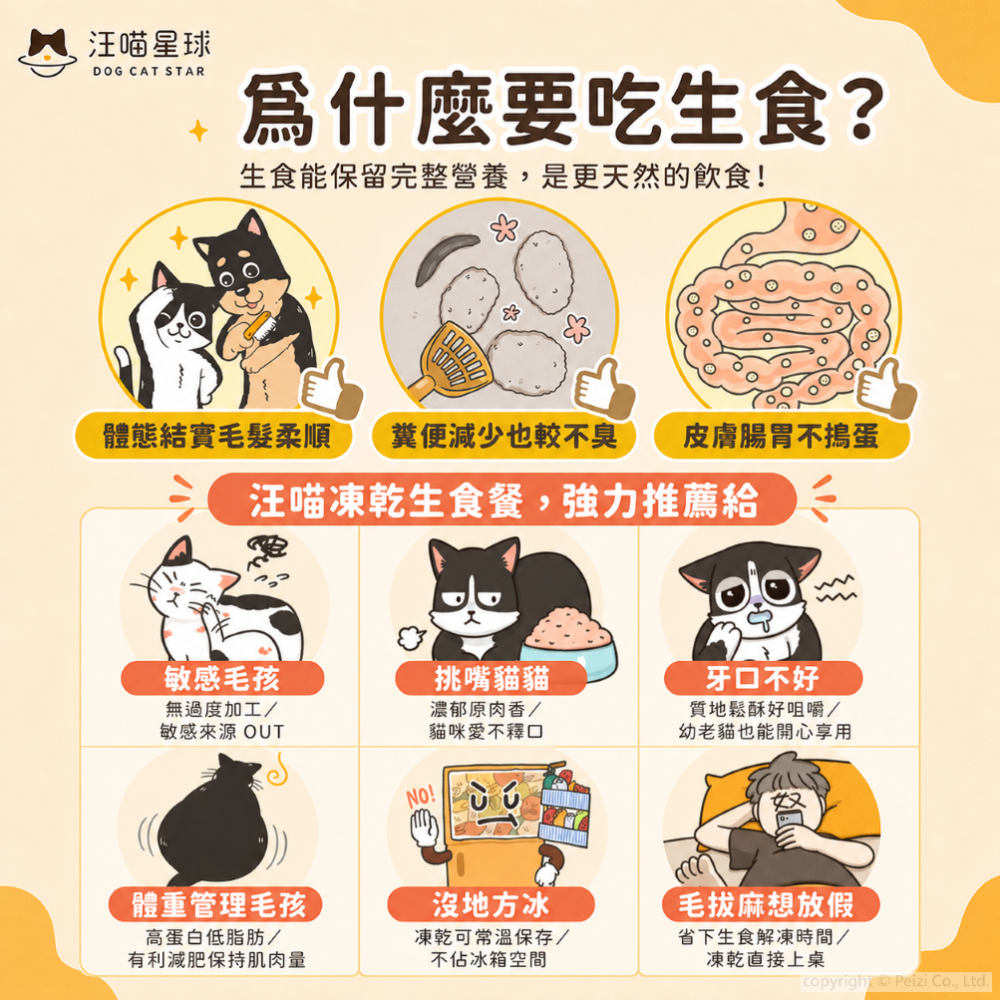 沛茲寵物【汪喵星球 DogCatSt 貓用凍乾主食餐 500g】雞肉 牛肉 鴨肉 鮭魚 低敏 台灣 貓飼料 貓 飼料-細節圖4