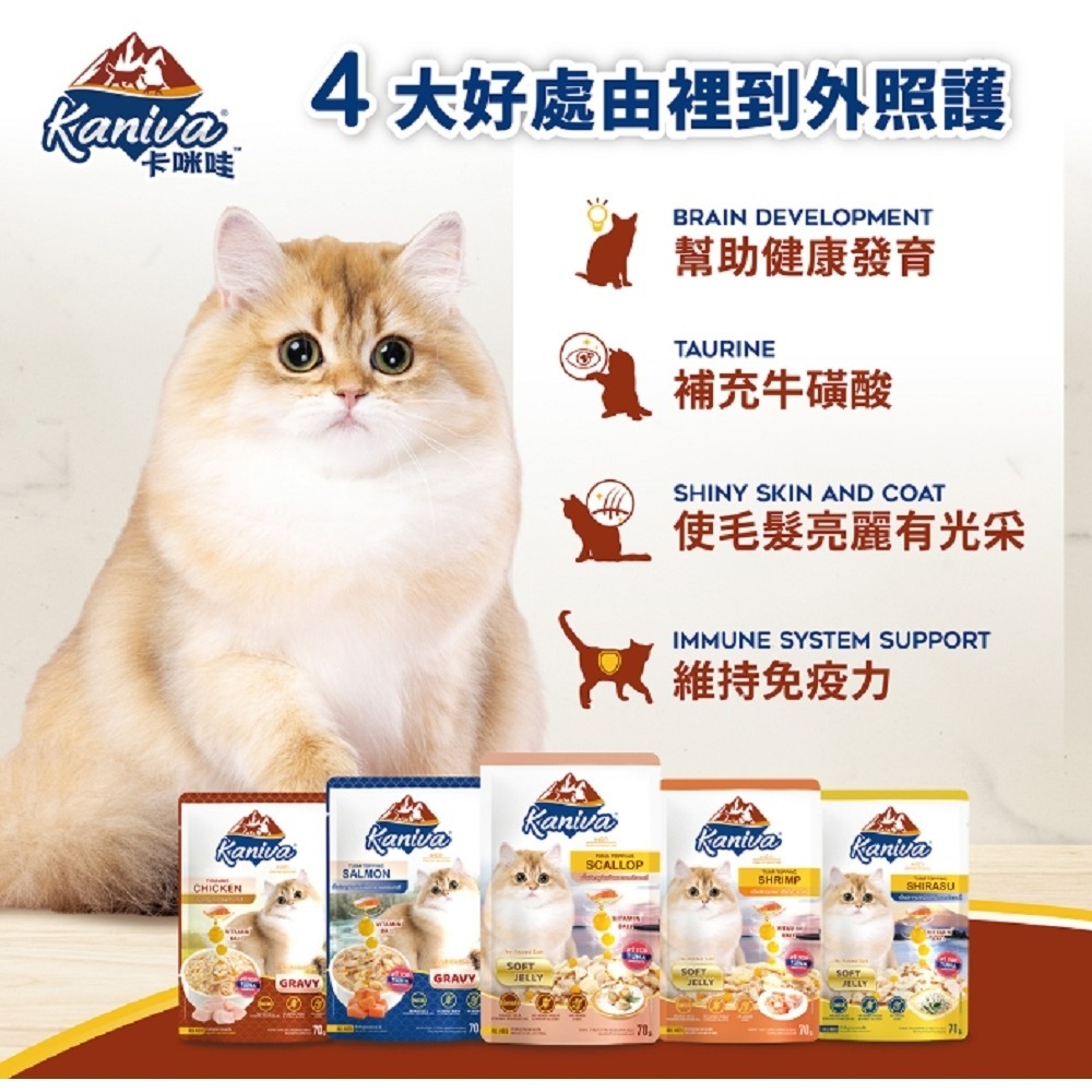沛茲寵物【卡咪哇 Kaniva 貓用維他命晶球餐包 70g】鮪魚 吻仔魚 鮪魚 餐包 泰國 副食罐 貓罐 貓 罐-細節圖3