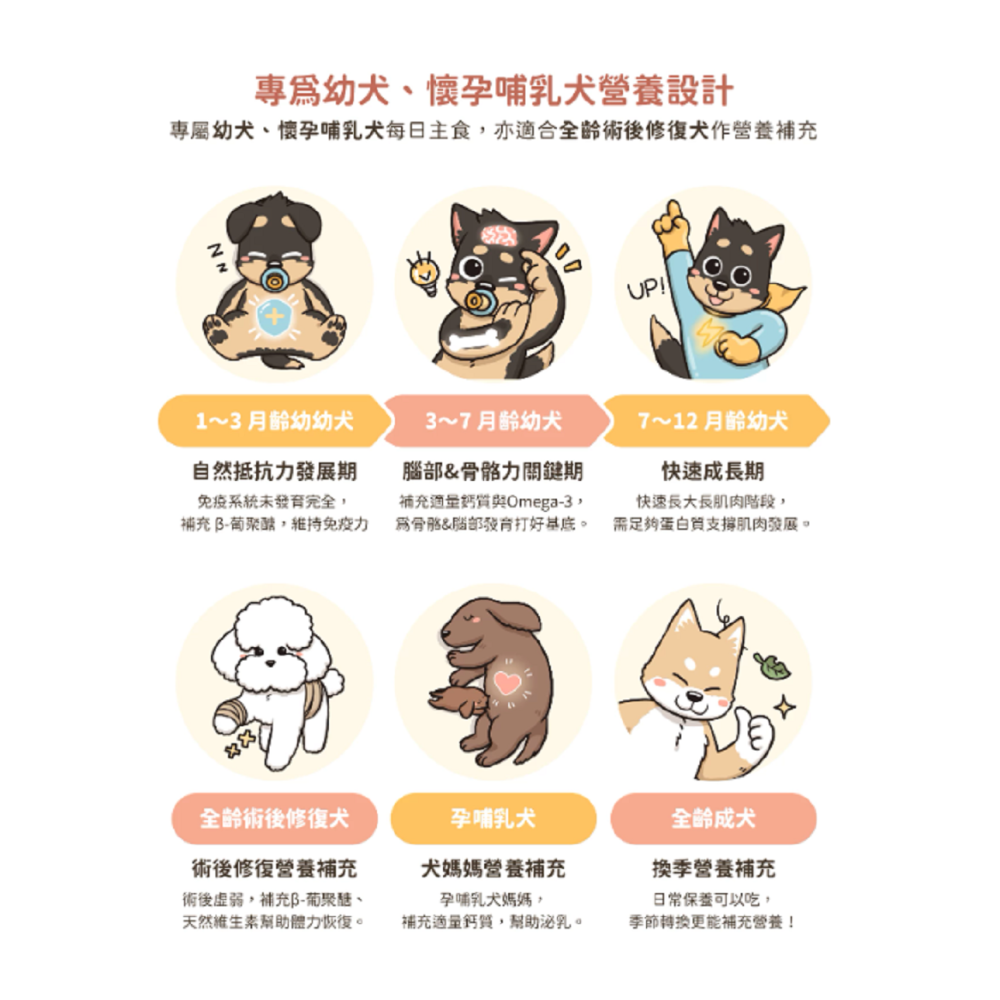 沛茲寵物【汪喵星球 DogCatStar 幼母犬營養主食罐 80g】無膠 無穀 雞肉 台灣 主食罐 狗罐 狗 罐-細節圖4