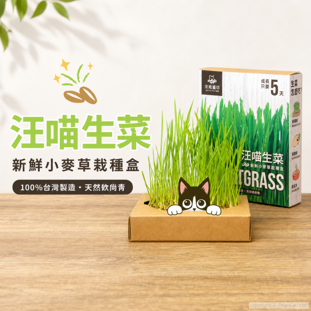 沛茲寵物【汪喵星球 DogCatStar 貓咪生菜】小麥草 貓草 貓薄荷 貓零食 貓 零食-細節圖3