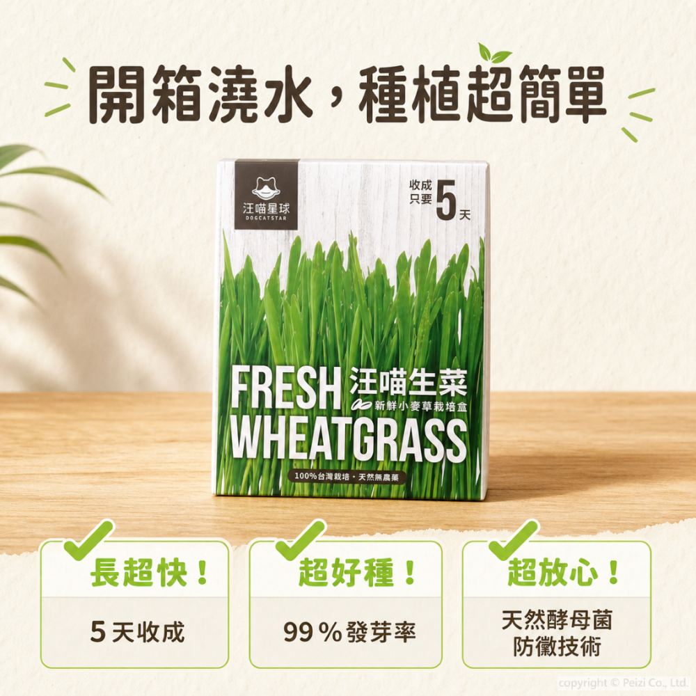沛茲寵物【汪喵星球 DogCatStar 貓咪生菜】小麥草 貓草 貓薄荷 貓零食 貓 零食-細節圖4