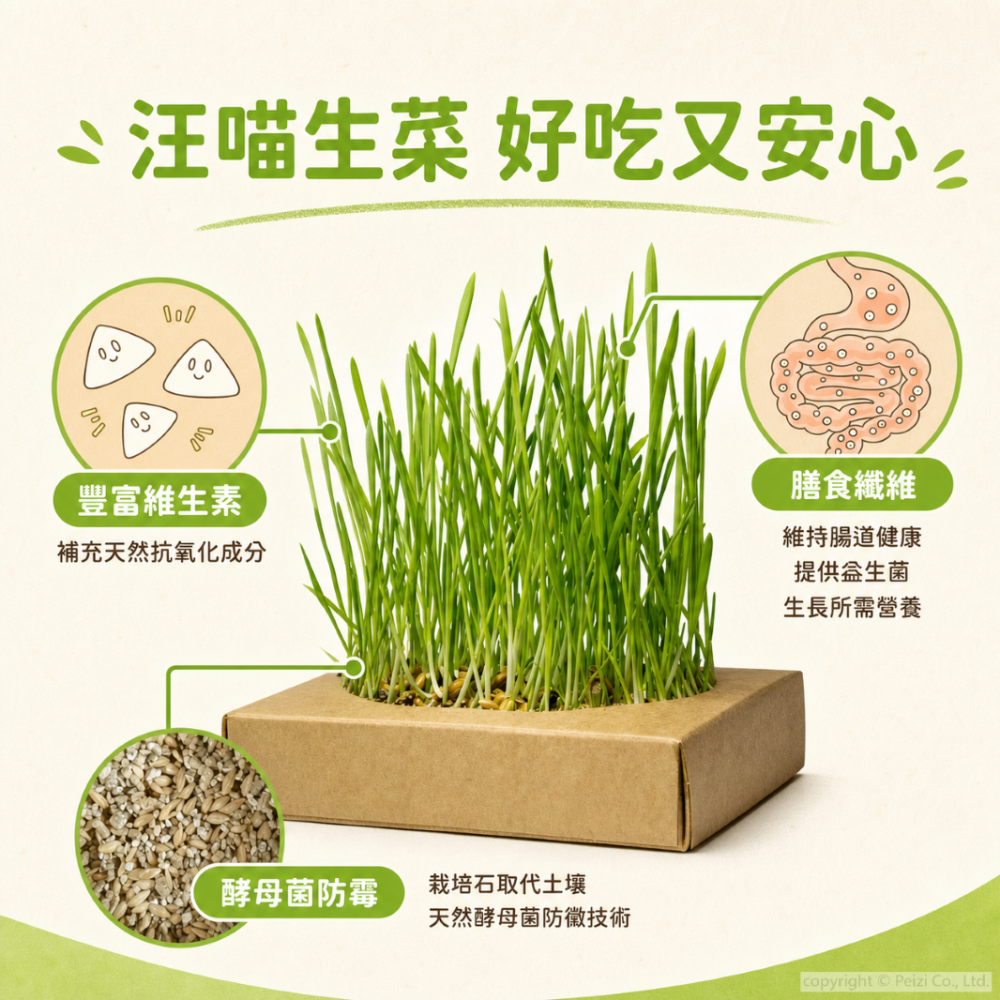 沛茲寵物【汪喵星球 DogCatStar 貓咪生菜】小麥草 貓草 貓薄荷 貓零食 貓 零食-細節圖5