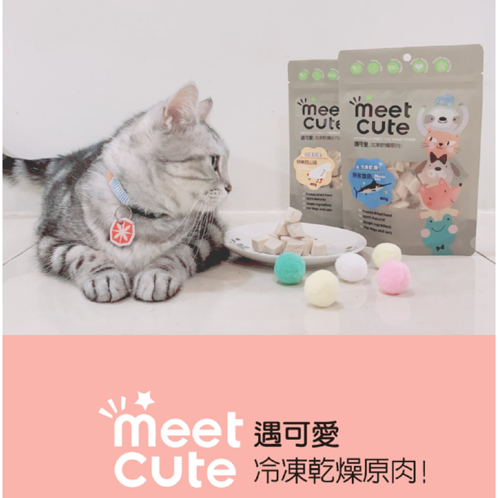 沛茲寵物【遇可愛 meet cute 犬貓冷凍乾燥原肉】鮪魚 鴨肉 雞肉 虱目魚 台灣 貓零食 狗零食 貓 狗 零食-細節圖3