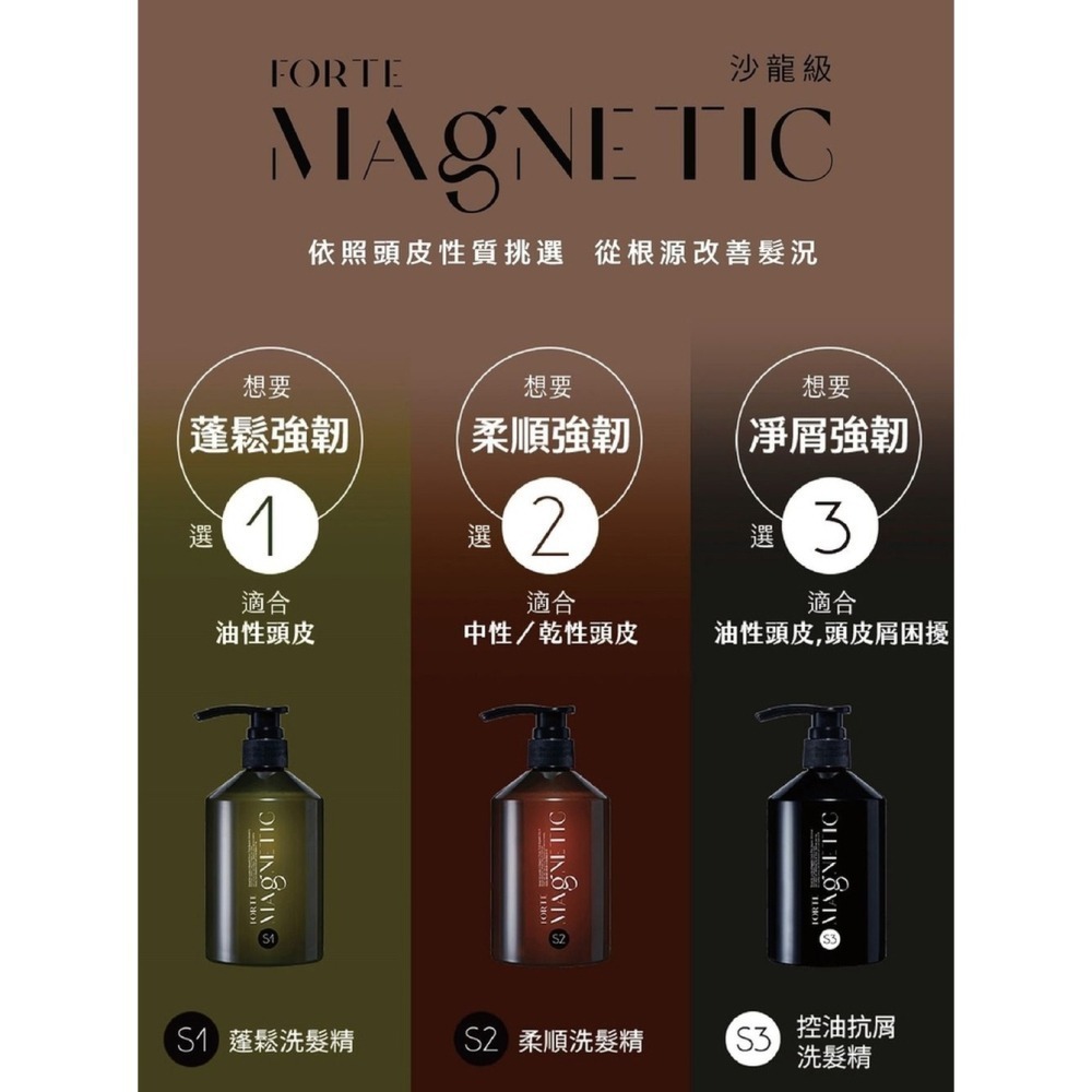 【FORTE】Magnetic S1蓬鬆/S2柔順/S3深層淨化洗髮精500g 任選1入/2入/3入-細節圖4